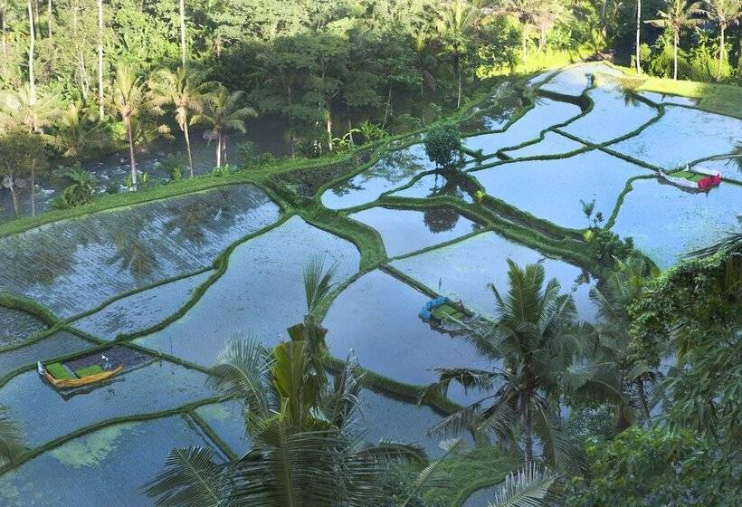 Umah Tampih Luxury Private Villa Chse Certified