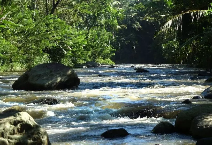 Umah Tampih Luxury Private Villa Chse Certified