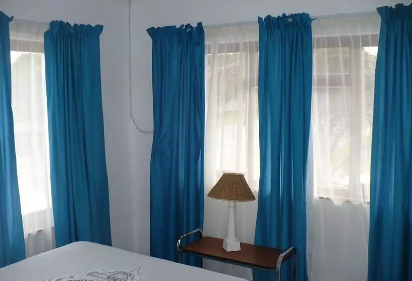 Общежитие Backpacker Apartments