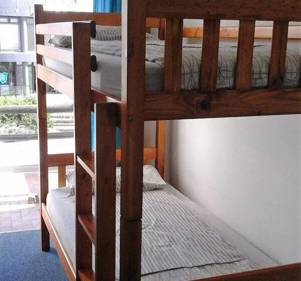 Общежитие Backpacker Apartments