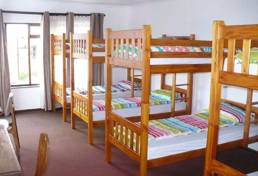 Общежитие Backpacker Apartments