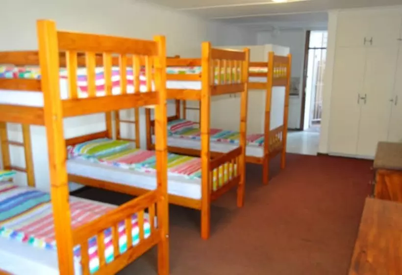 Общежитие Backpacker Apartments