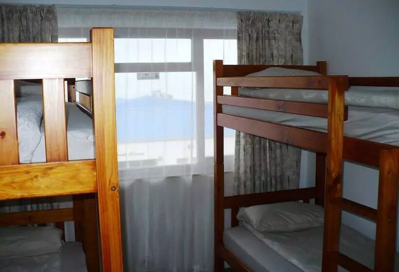 Общежитие Backpacker Apartments