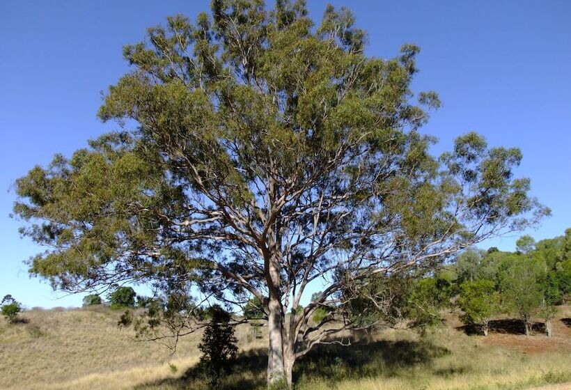 Deshons Country Retreat