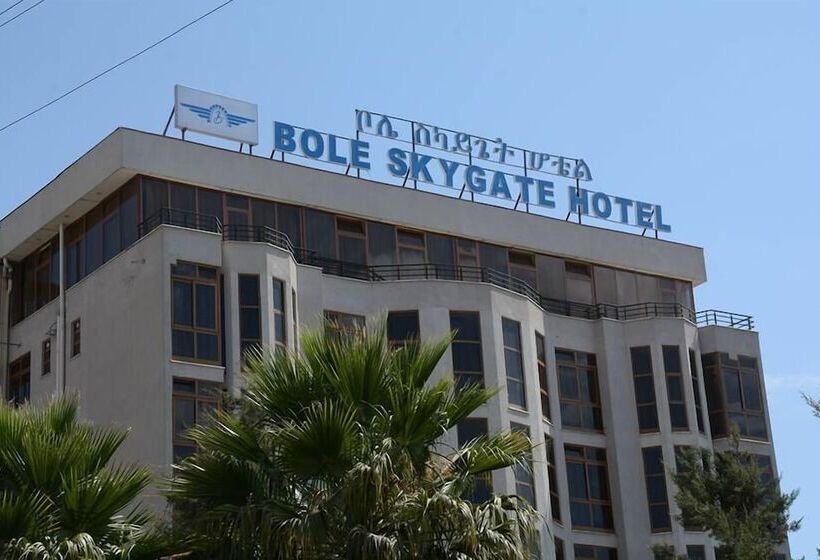 فندق Bole Skygate