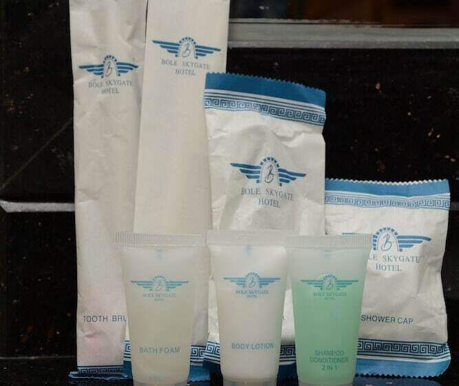 فندق Bole Skygate