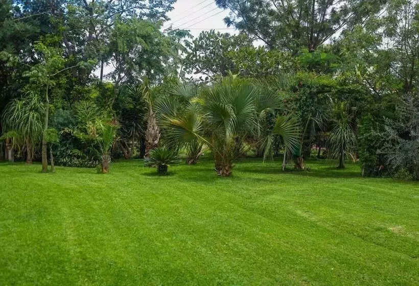 هتل Palmwood Lodge