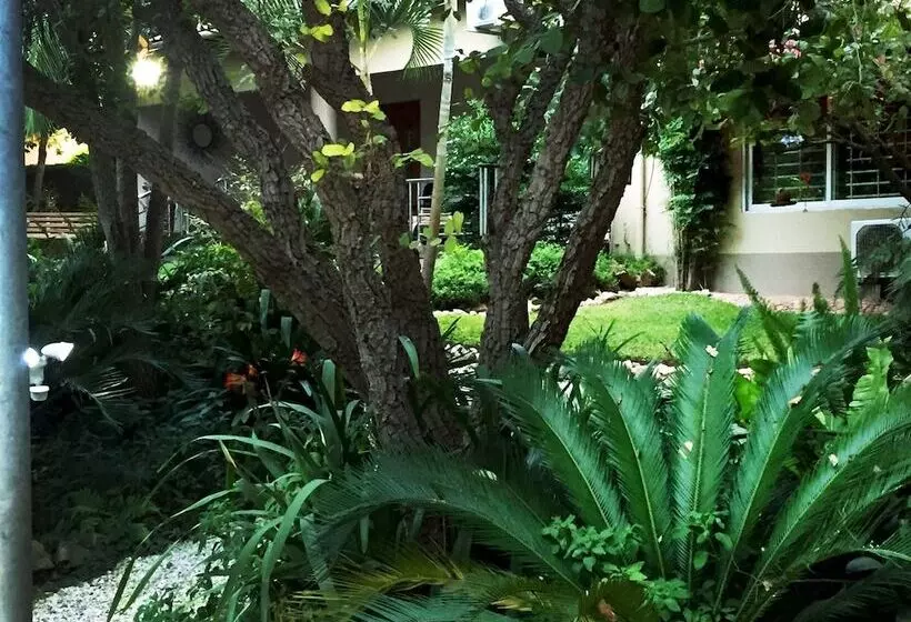 هتل Palmwood Lodge