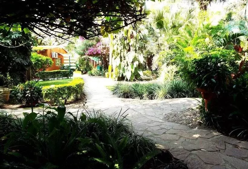 هتل Palmwood Lodge