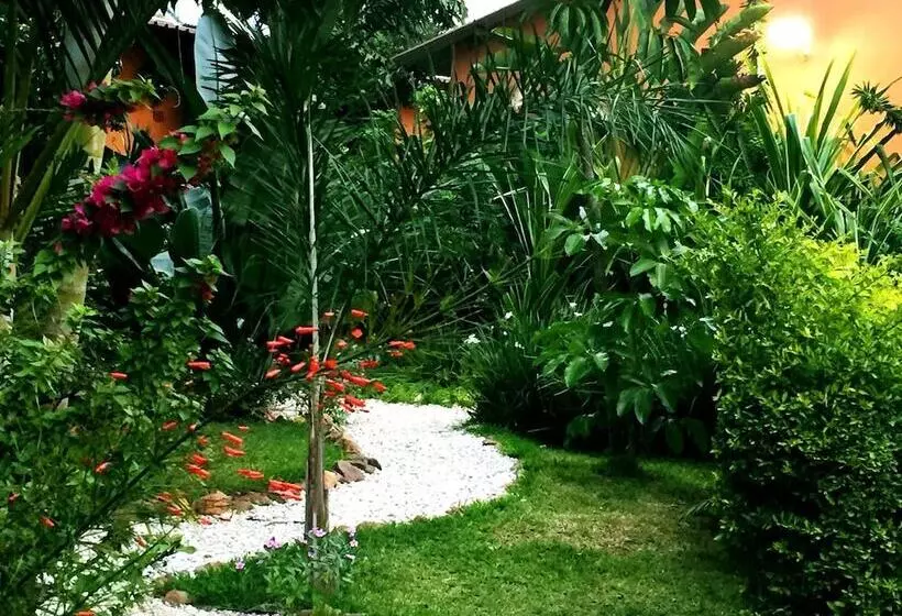 هتل Palmwood Lodge