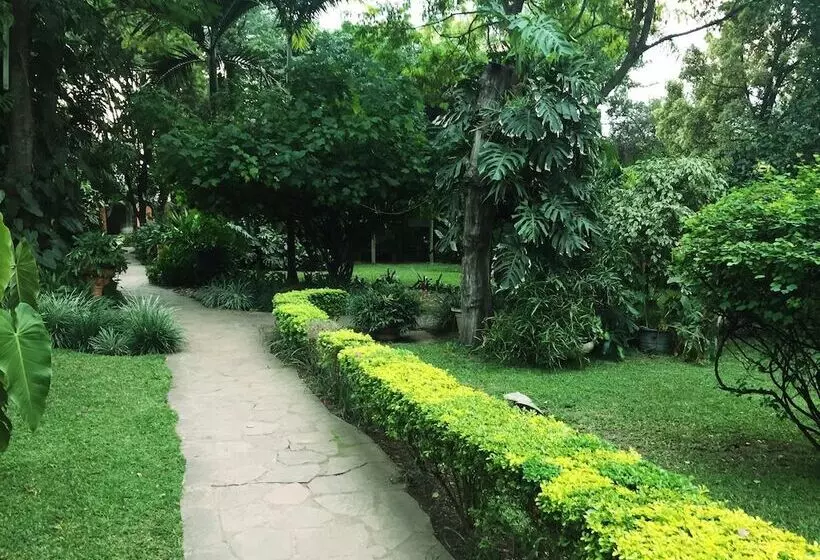 هتل Palmwood Lodge