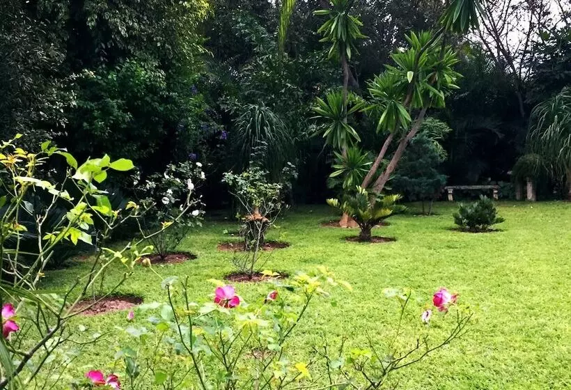 هتل Palmwood Lodge