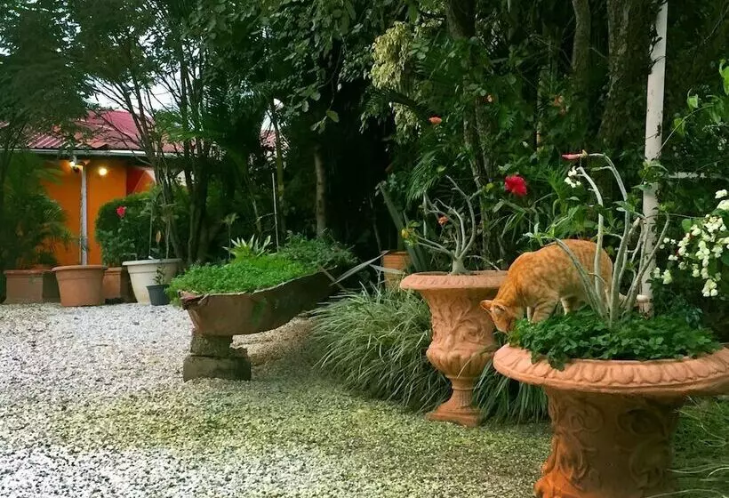 هتل Palmwood Lodge