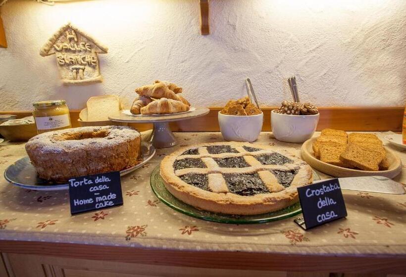 فندق Vallee Blanche Courmayeur