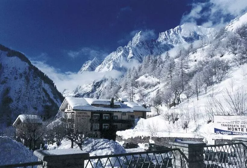 ホテル Vallee Blanche Courmayeur