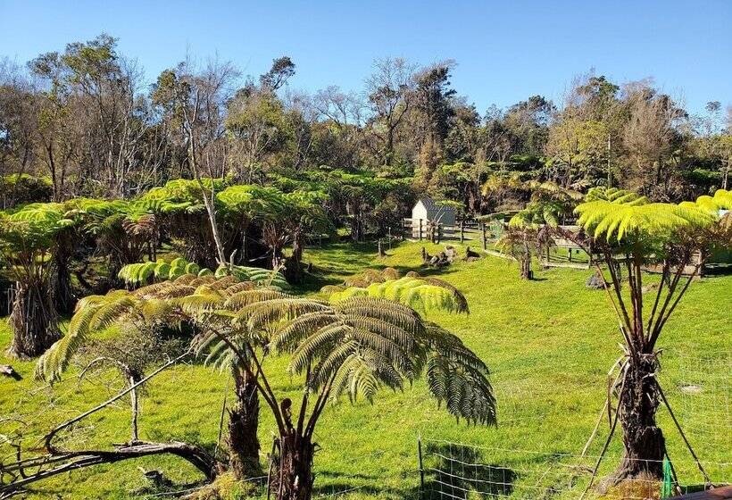 Volcano Acres Ranch B&b
