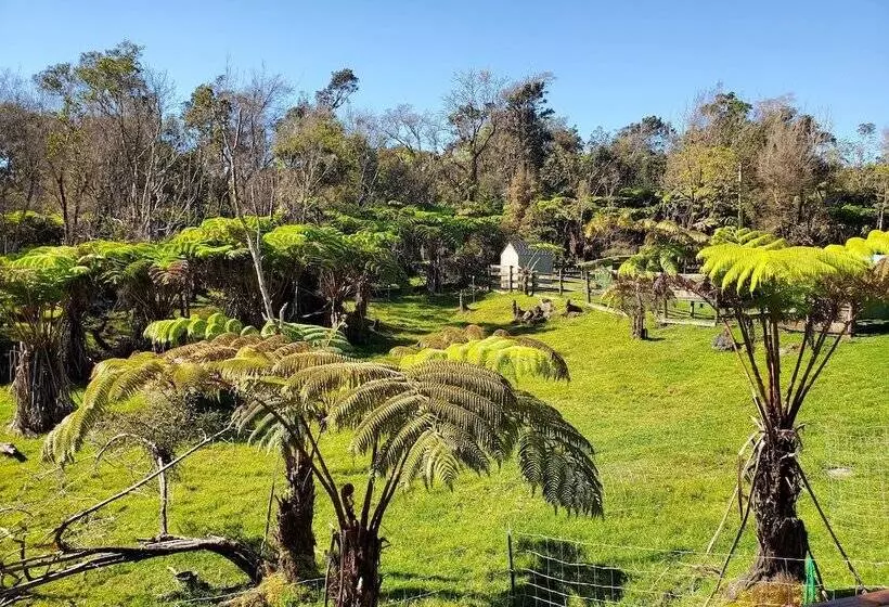 Volcano Acres Ranch B&b