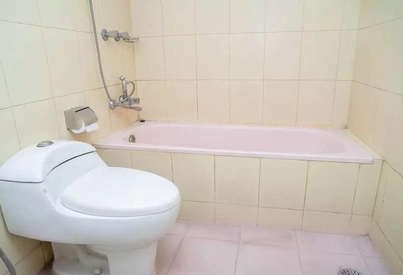 هتل Air Inn Dhaka Airport View