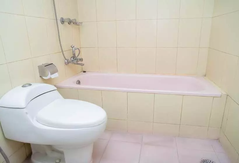 هتل Air Inn Dhaka Airport View