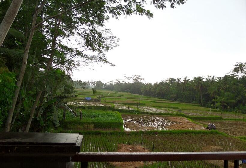 호텔 Intan Villa & Suite Ubud