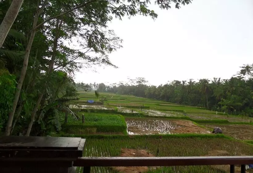 Otel Intan Villa & Suite Ubud