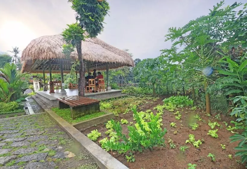 Otel Intan Villa & Suite Ubud