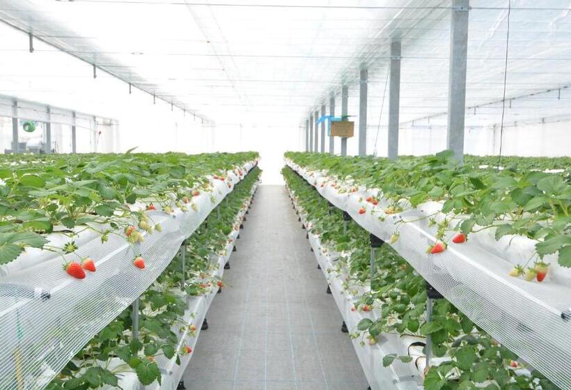 Nikko Station Hotel Classic