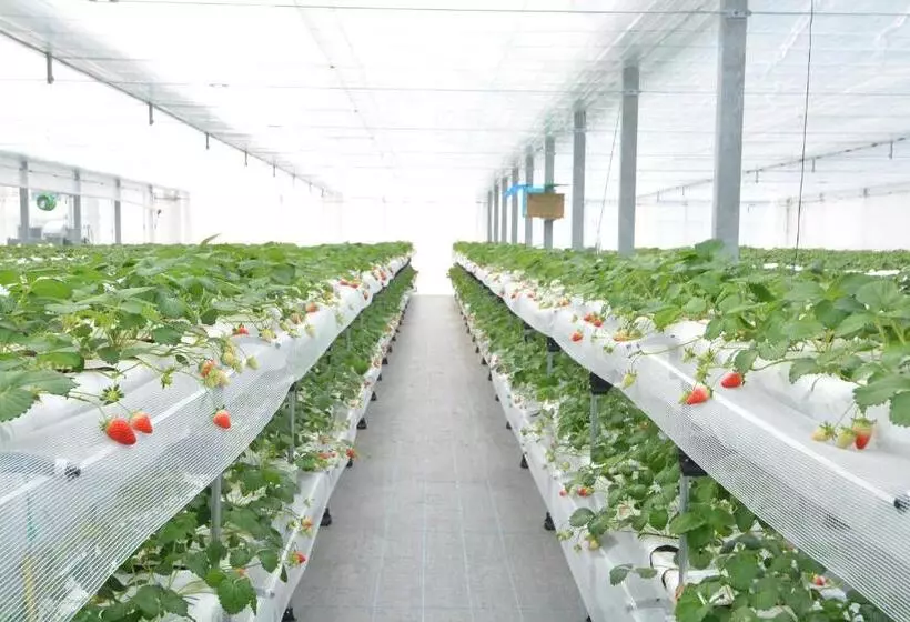 Nikko Station Hotel Classic