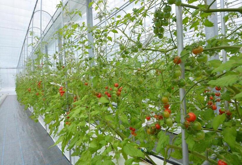 Nikko Station Hotel Classic