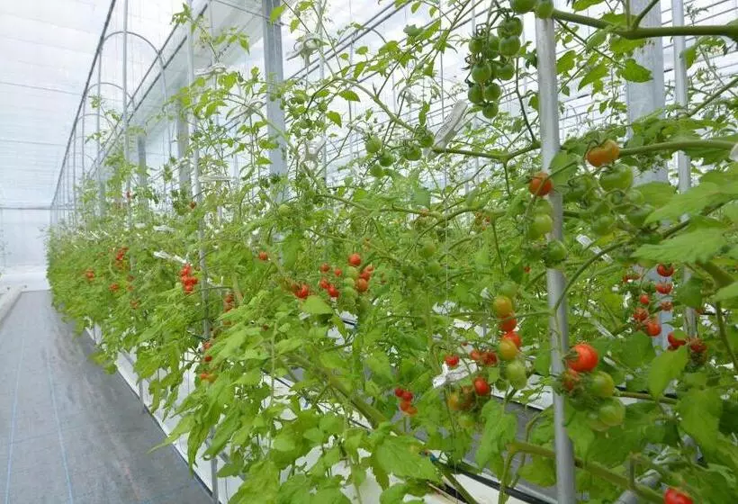 Nikko Station Hotel Classic