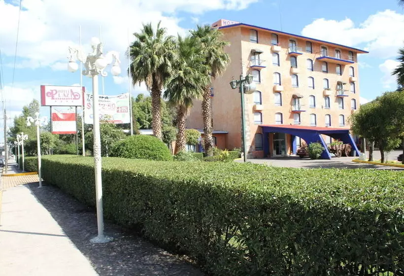 Отель Plaza Zacatecas