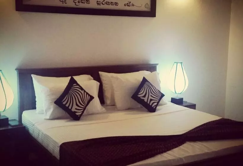 酒店 Birdwing Sigiriya