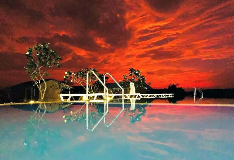 酒店 Birdwing Sigiriya