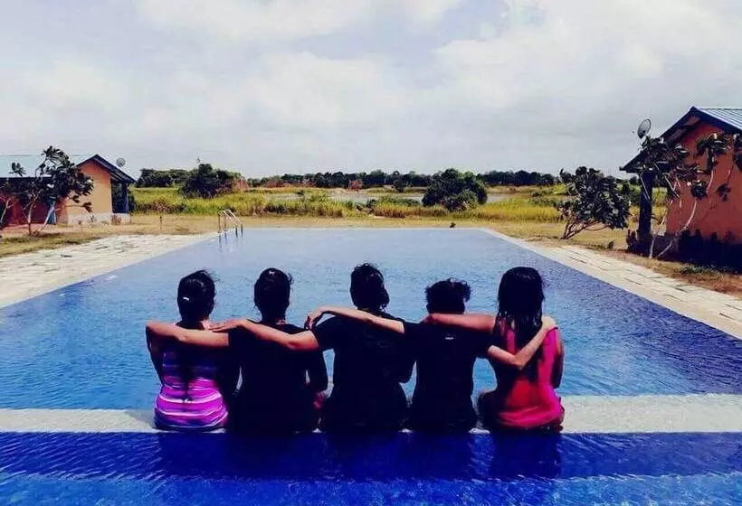 酒店 Birdwing Sigiriya