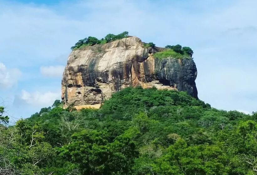 酒店 Birdwing Sigiriya