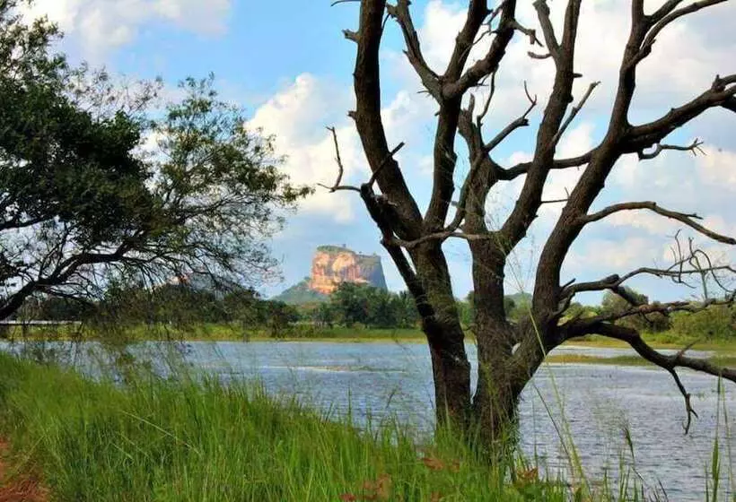 酒店 Birdwing Sigiriya