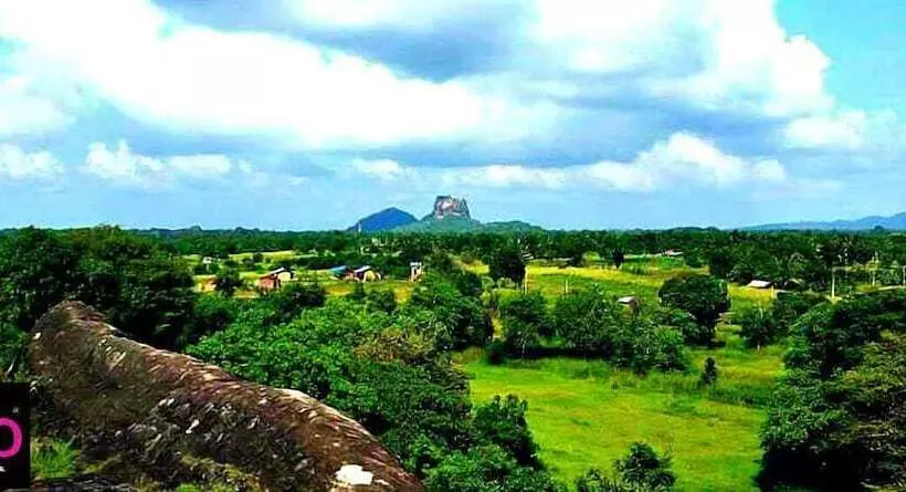 酒店 Birdwing Sigiriya