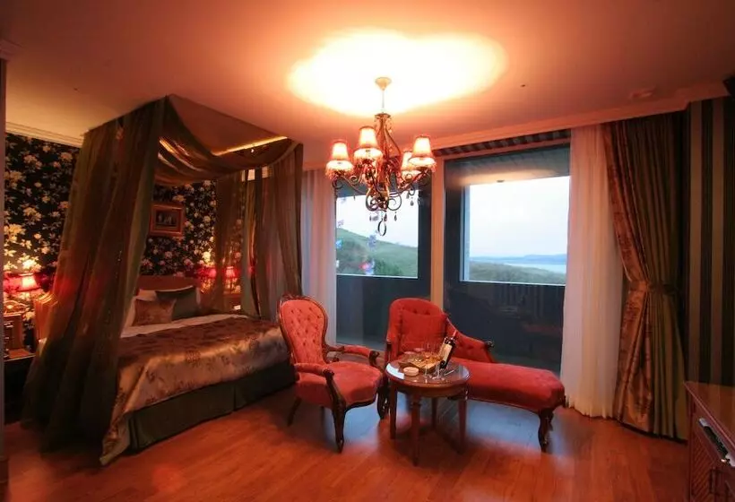 בית מלון כפרי Wiz