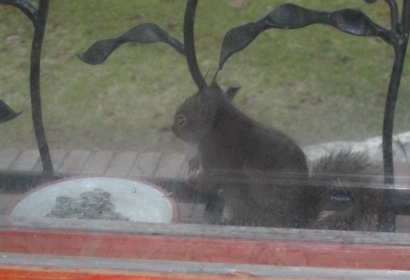 Inn Of Amigos Yasuda Pension