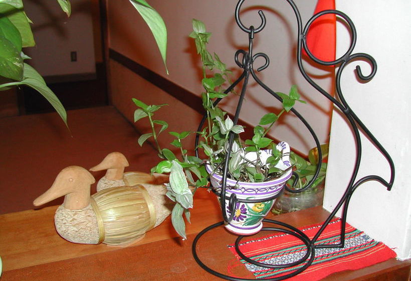 Inn Of Amigos Yasuda Pension