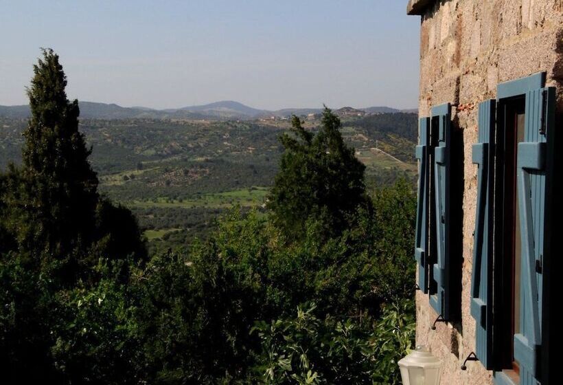 بنسيون Assos Nar Konak