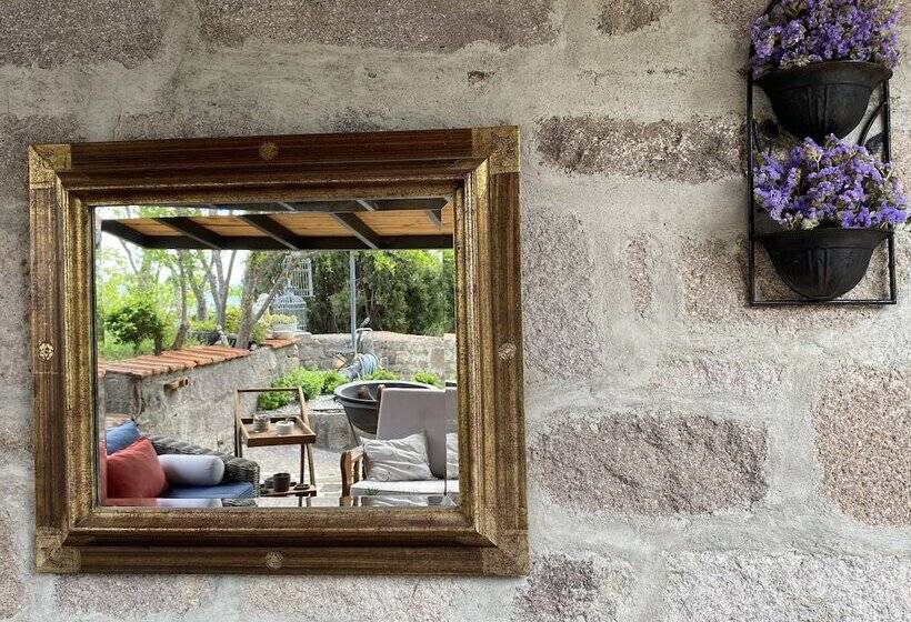 بنسيون Assos Nar Konak