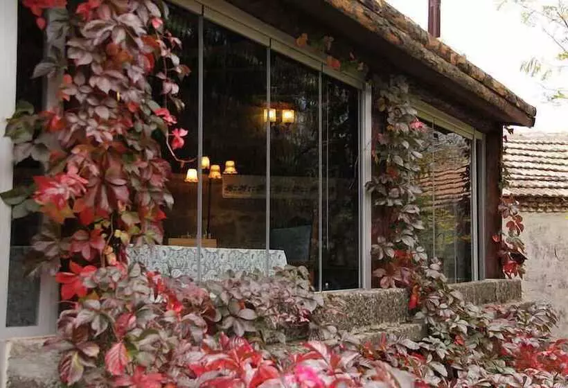 膳宿费 Assos Nar Konak