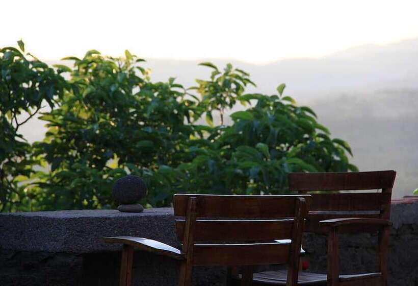 بنسيون Assos Nar Konak