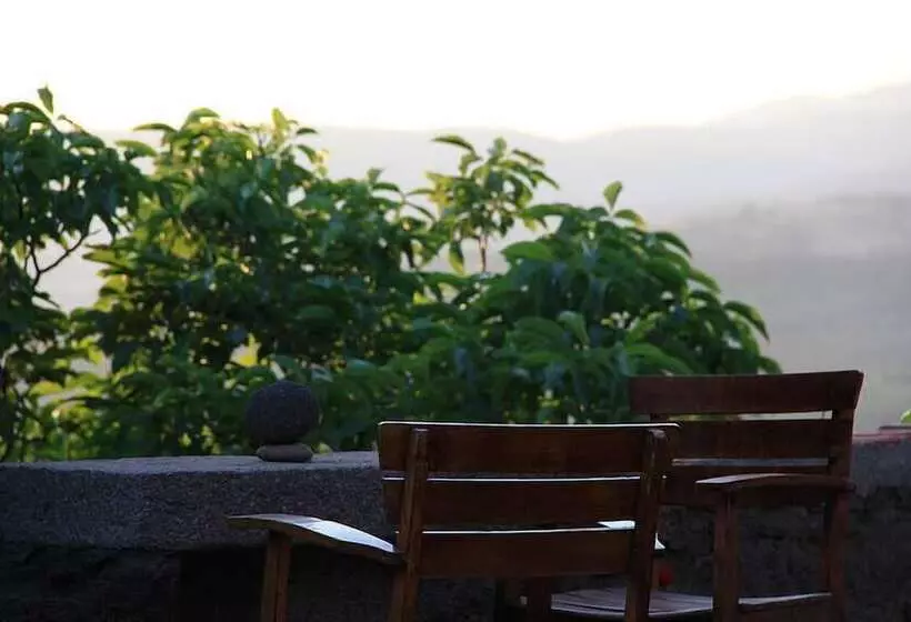 膳宿费 Assos Nar Konak