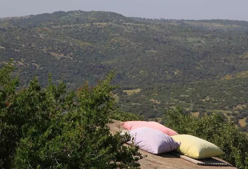 膳宿费 Assos Nar Konak