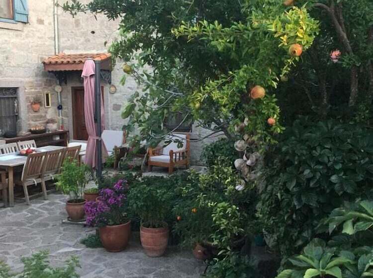 بنسيون Assos Nar Konak