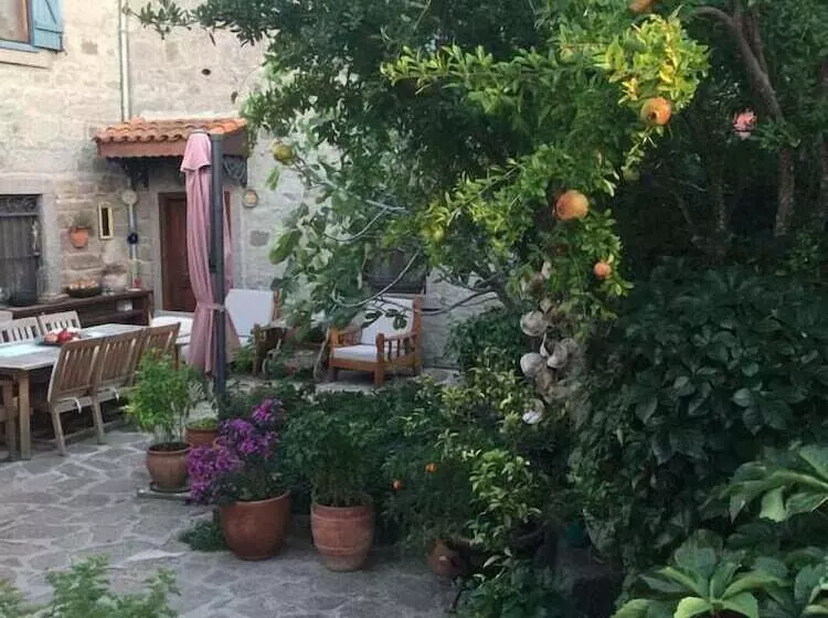 膳宿费 Assos Nar Konak