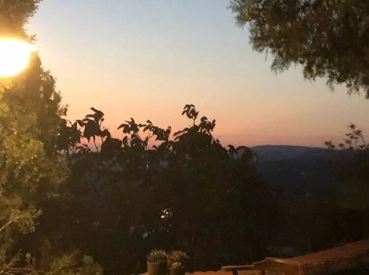 膳宿费 Assos Nar Konak