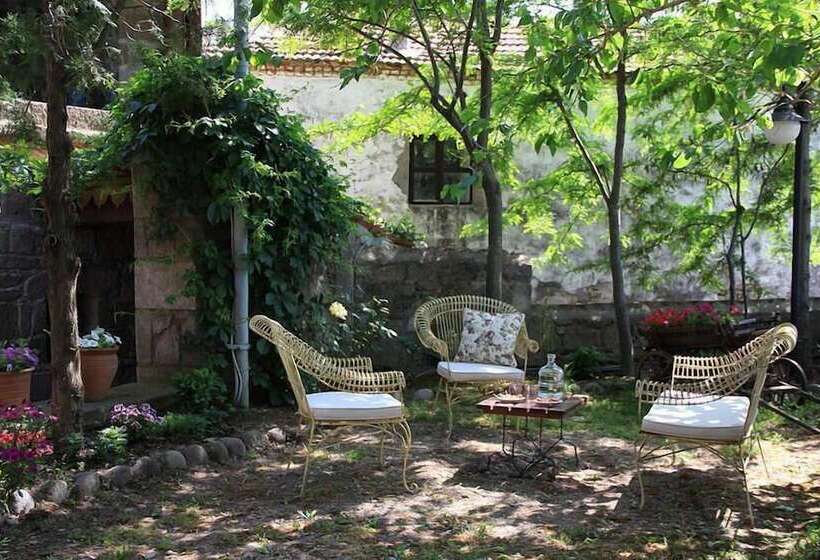 بنسيون Assos Nar Konak